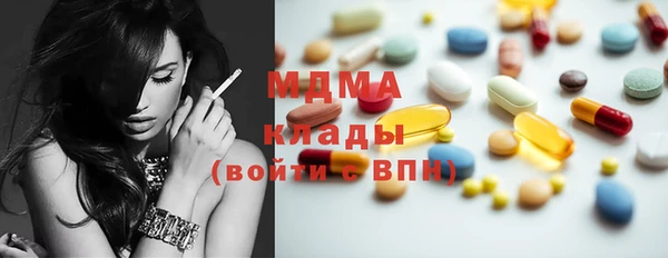 прущие грибы Михайлов