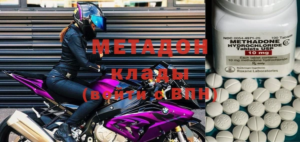 прущие грибы Михайлов