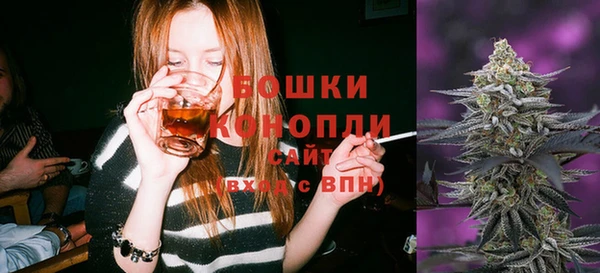 прущие грибы Михайлов