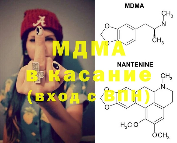 прущие грибы Михайлов